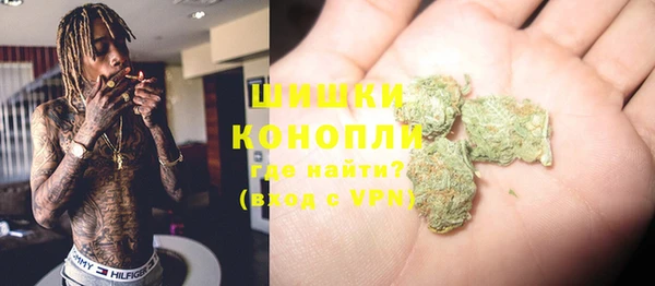 трава Аркадак