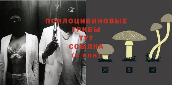 каннабис Арсеньев