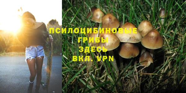 дурь Великий Новгород