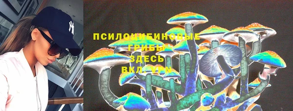 каннабис Арсеньев