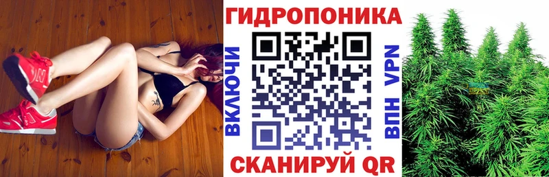 Бошки Шишки планчик  Калининск 
